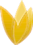 Ürünlerimiz